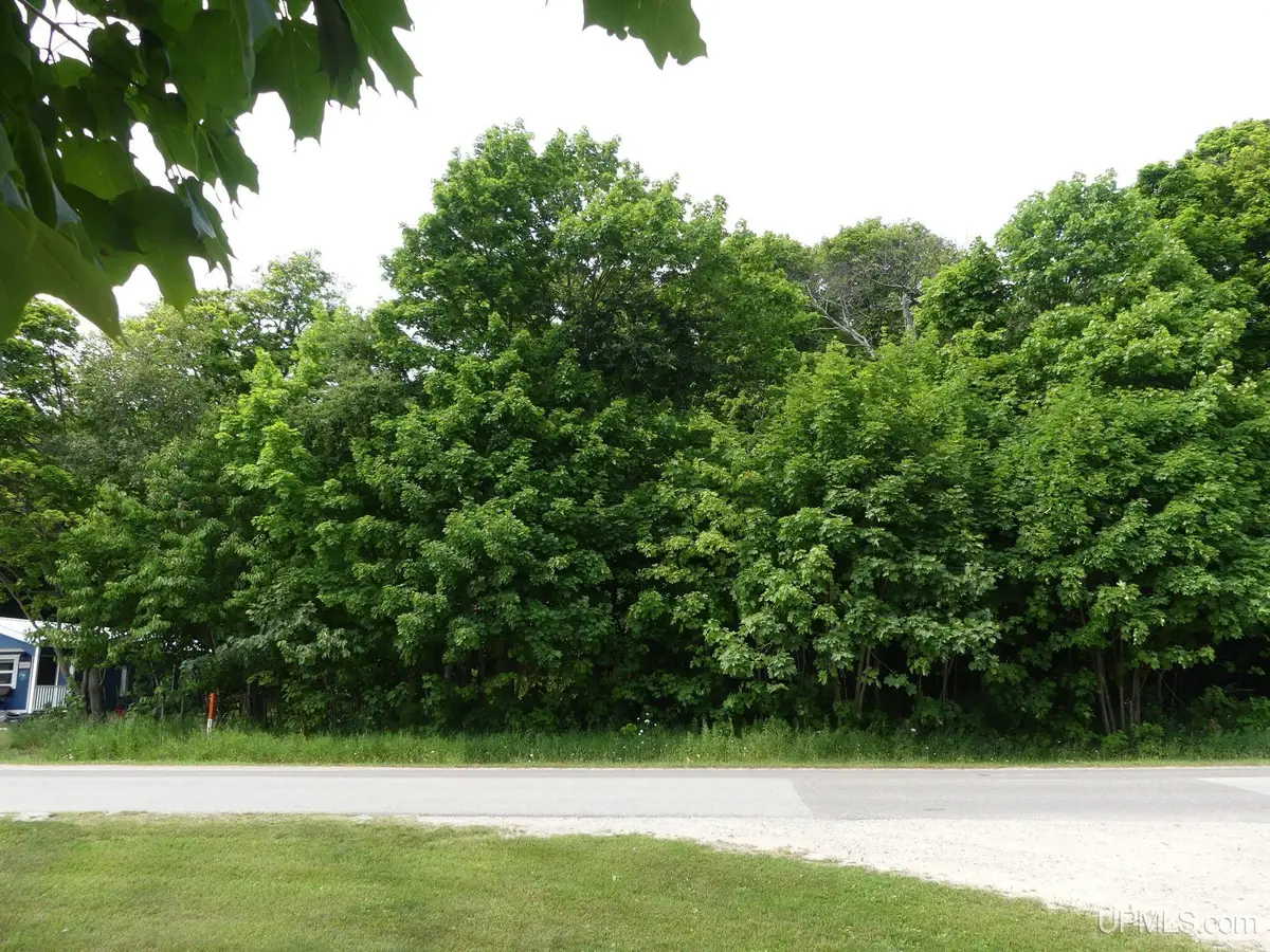 0 E Lake, Grand Marais, MI 49839 - #1