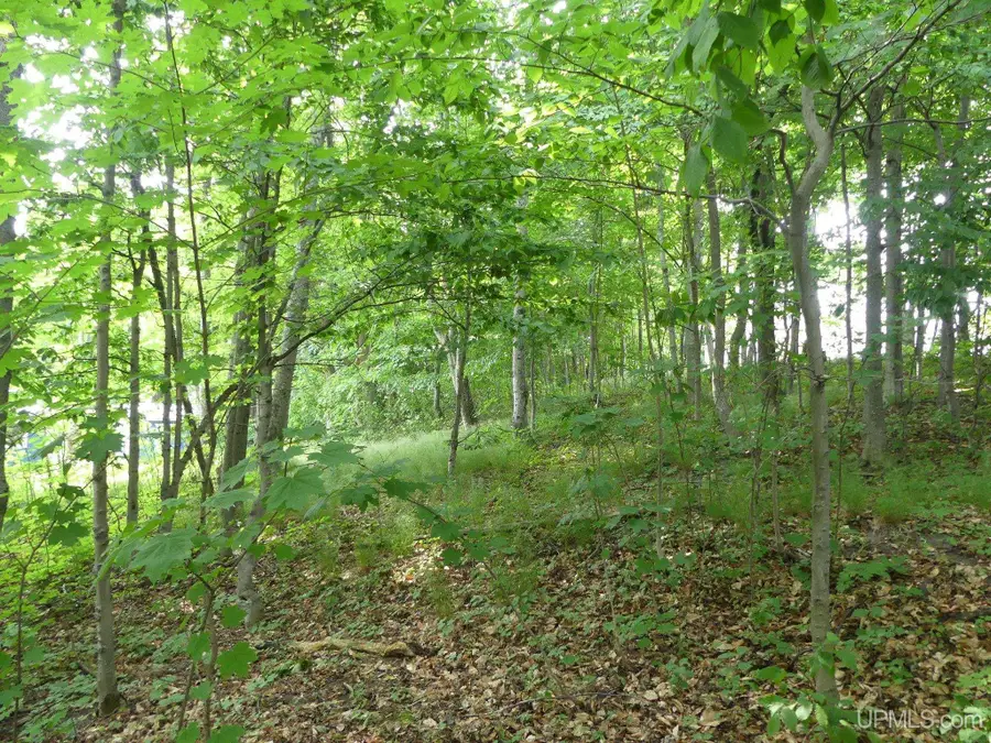 0 E Lake, Grand Marais, MI 49839 - #2