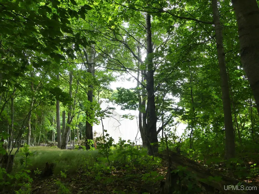 0 E Lake, Grand Marais, MI 49839 - #3