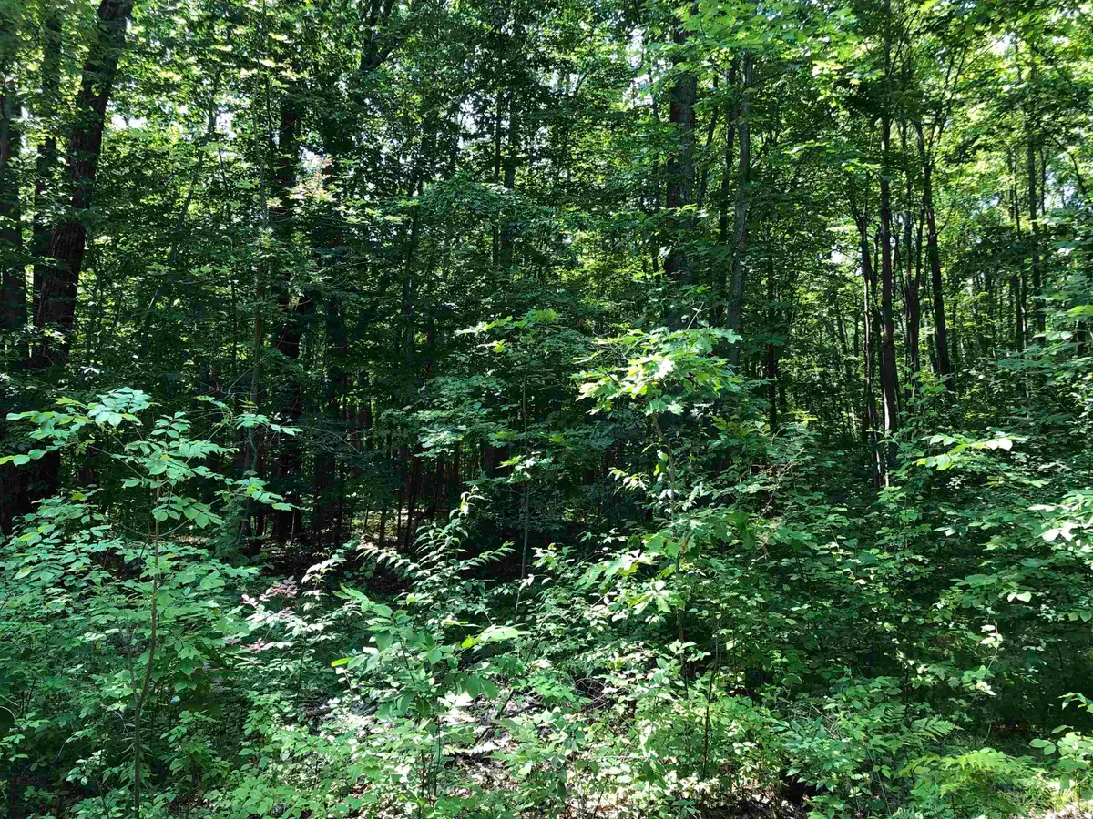 v/l Alpine, Lake, MI 48632 - #1