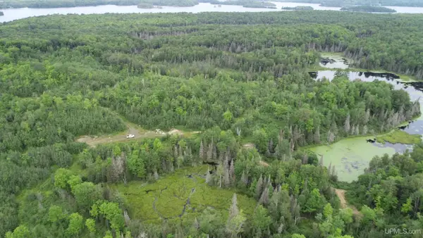 300 Acres TBD Holli Blue, Republic, MI 49879
