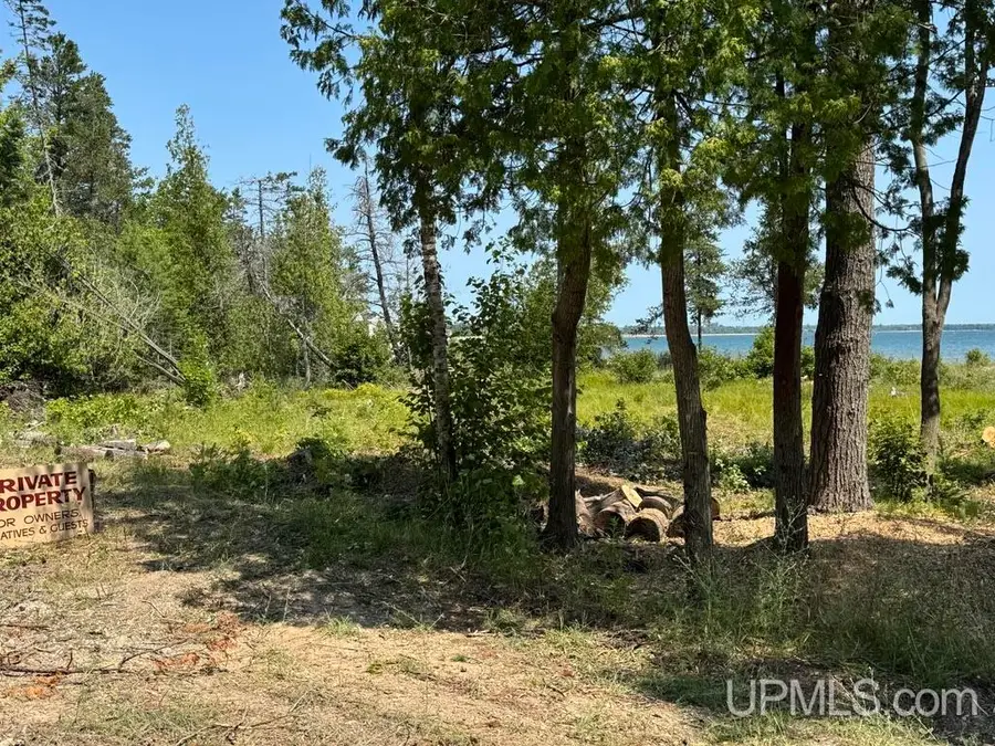TBD Harbor Lights, Manistique, MI 49854 - #2
