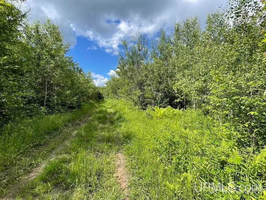 243 Net River, Crystal Falls, MI 49920 - #3