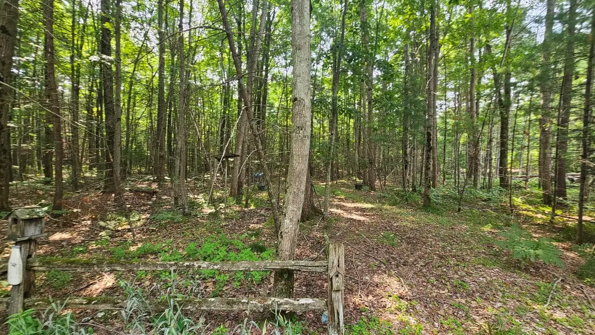 Lot # 12 West River, Gladwin, MI 48624 - #1