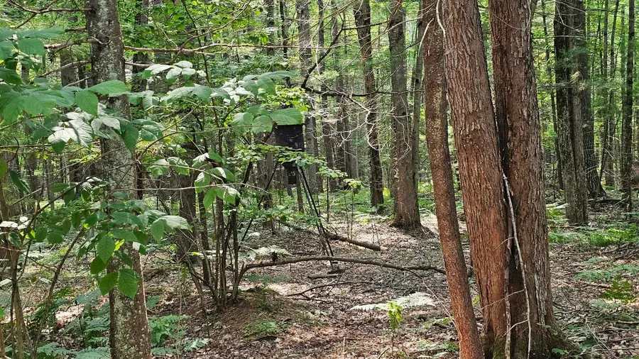 Lot # 12 West River, Gladwin, MI 48624 - #3