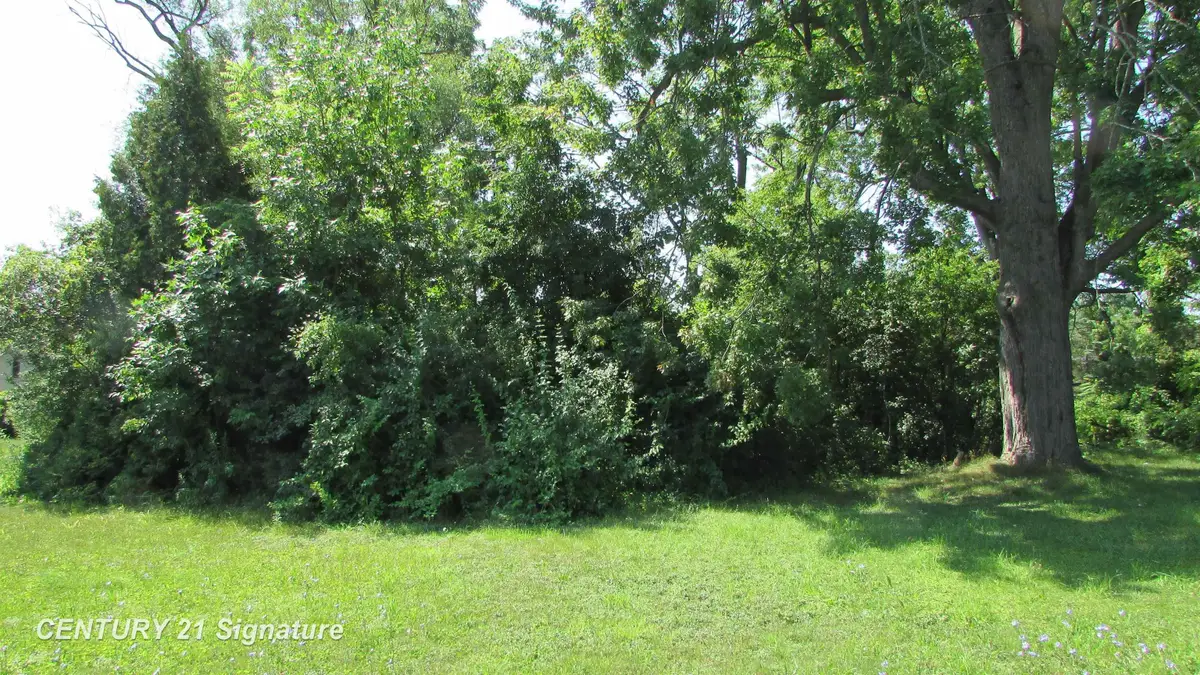 Parcel A Gratiot, Saginaw, MI 48638 - #1