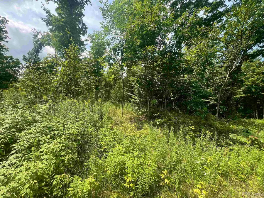 TBD Little Bear, Iron River, MI 49935 - #2