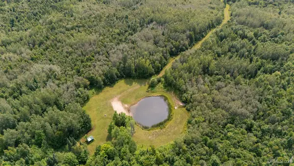 35 Acres Townline, Gulliver, MI 49840