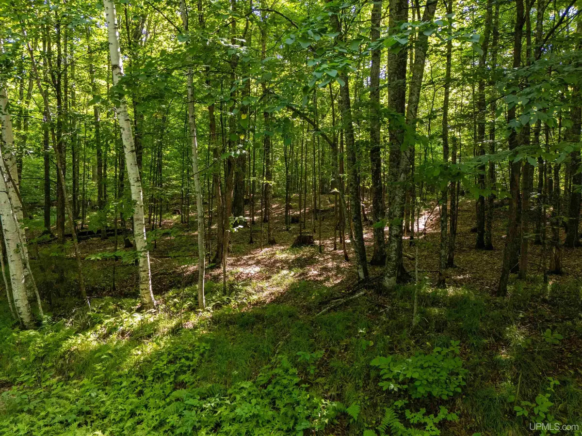Lot 6 Smoky Lake, Iron River, MI 49935 - #1