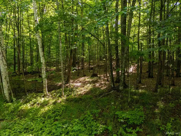 Lot 6 Smoky Lake, Iron River, MI 49935