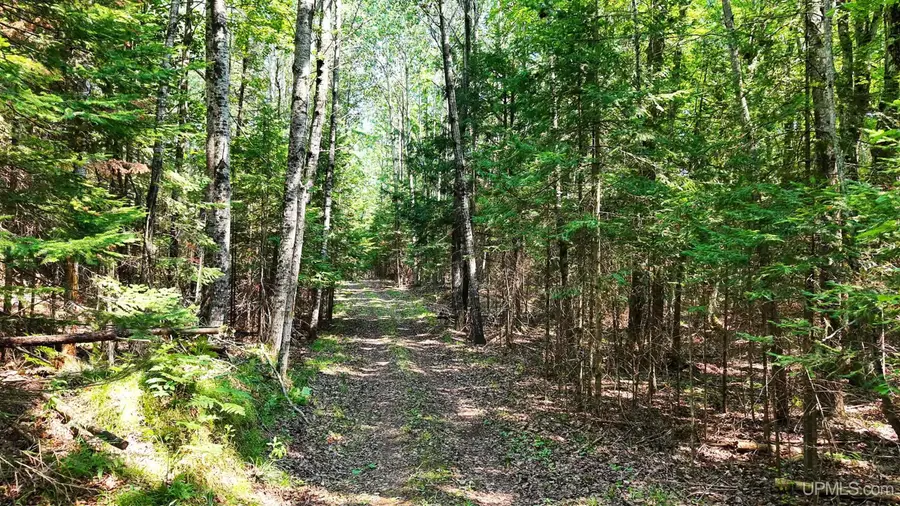 TBD G Rd, Escanaba, MI 49829 - #3