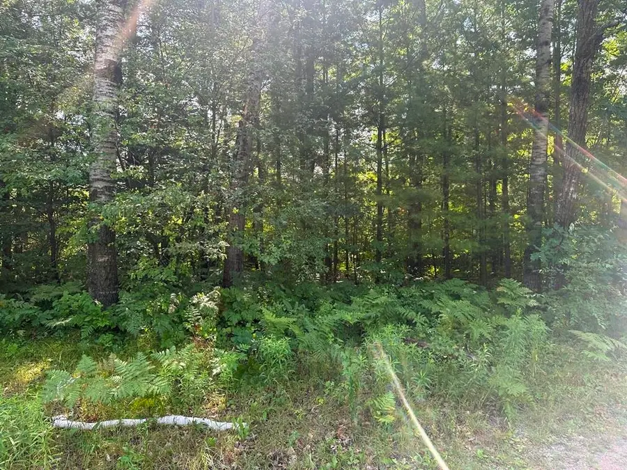 Lot 63 Popple, Harrison, MI 48625 - #2