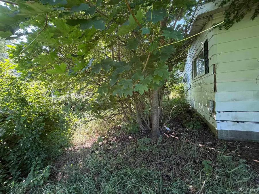 4310 E Laporte, Freeland, MI 48623 - #2