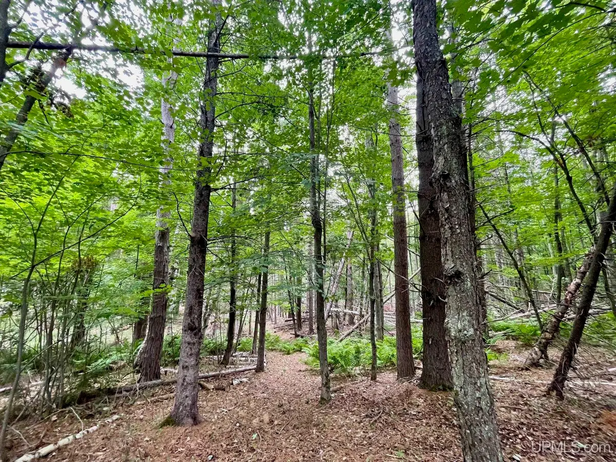 PARCEL A TBD Heather, Marquette, MI 49855 - #1