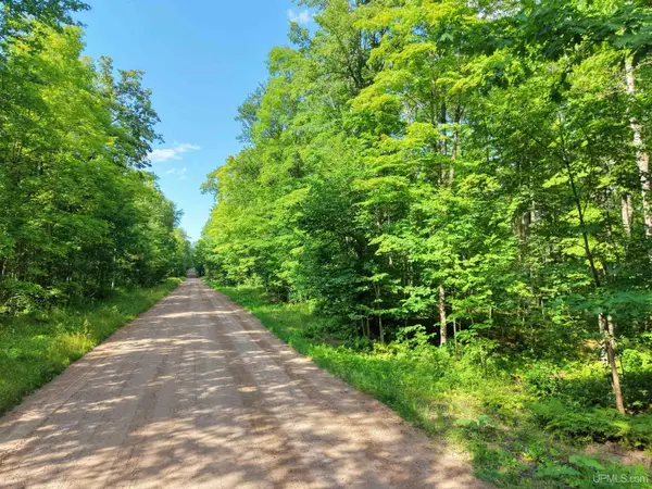 TBD S Laird, Pelkie, MI 49952