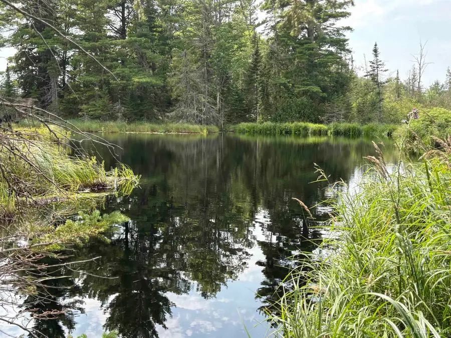 Pond 80 W off North Pointe Rd, Deerton, MI 49822 - #2