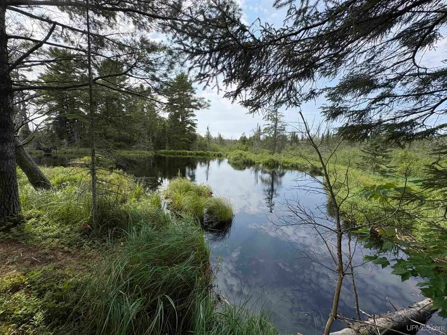 Pond 80 W off North Pointe Rd, Deerton, MI 49822 - #3