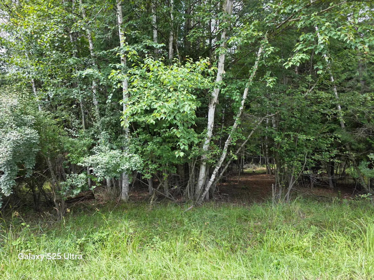 Lot 41 Sandbridge, Gladwin, MI 48624 - #1