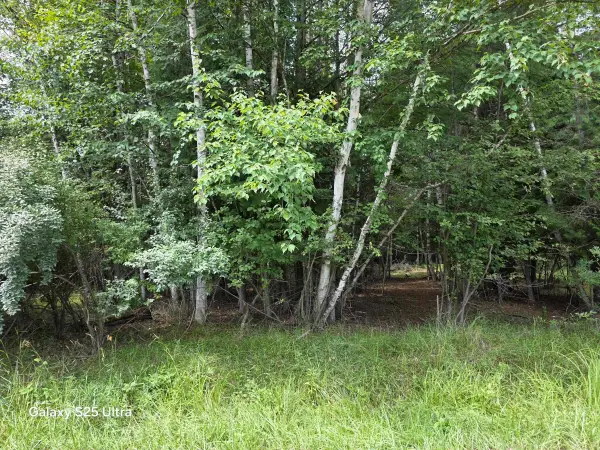 Lot 41 Sandbridge, Gladwin, MI 48624
