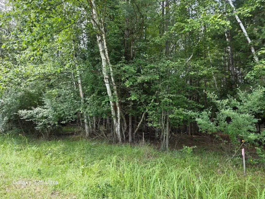 Lot 41 Sandbridge, Gladwin, MI 48624 - #2