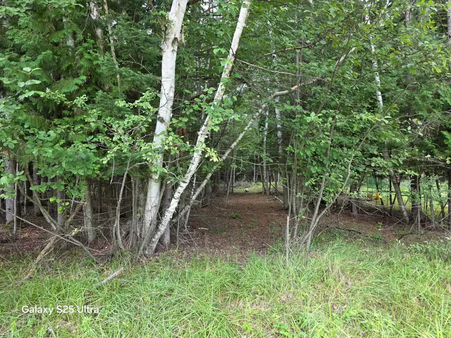 Lot 41 Sandbridge, Gladwin, MI 48624 - #3