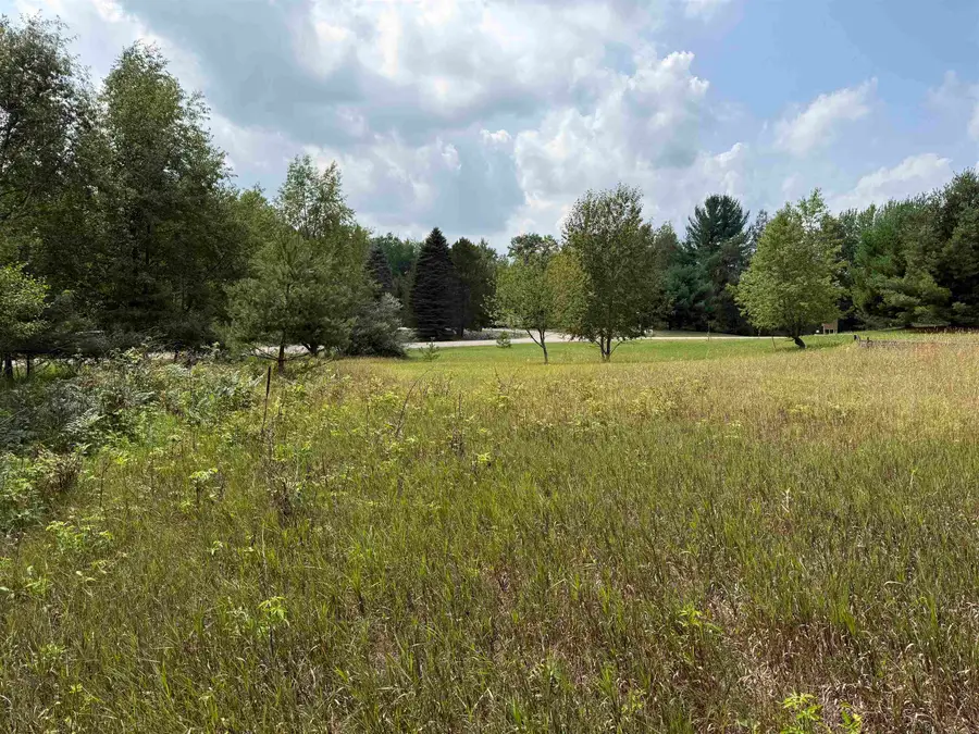 Lot 101 Westchester, Gladwin, MI 48624 - #2