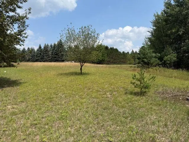 Lot 101 Westchester, Gladwin, MI 48624 - #3