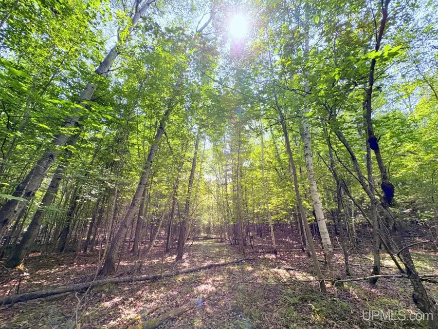 TBD Parcel A Tracie, Marquette, MI 49855 - #2