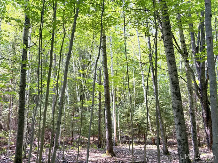 TBD Parcel A Tracie, Marquette, MI 49855 - #3