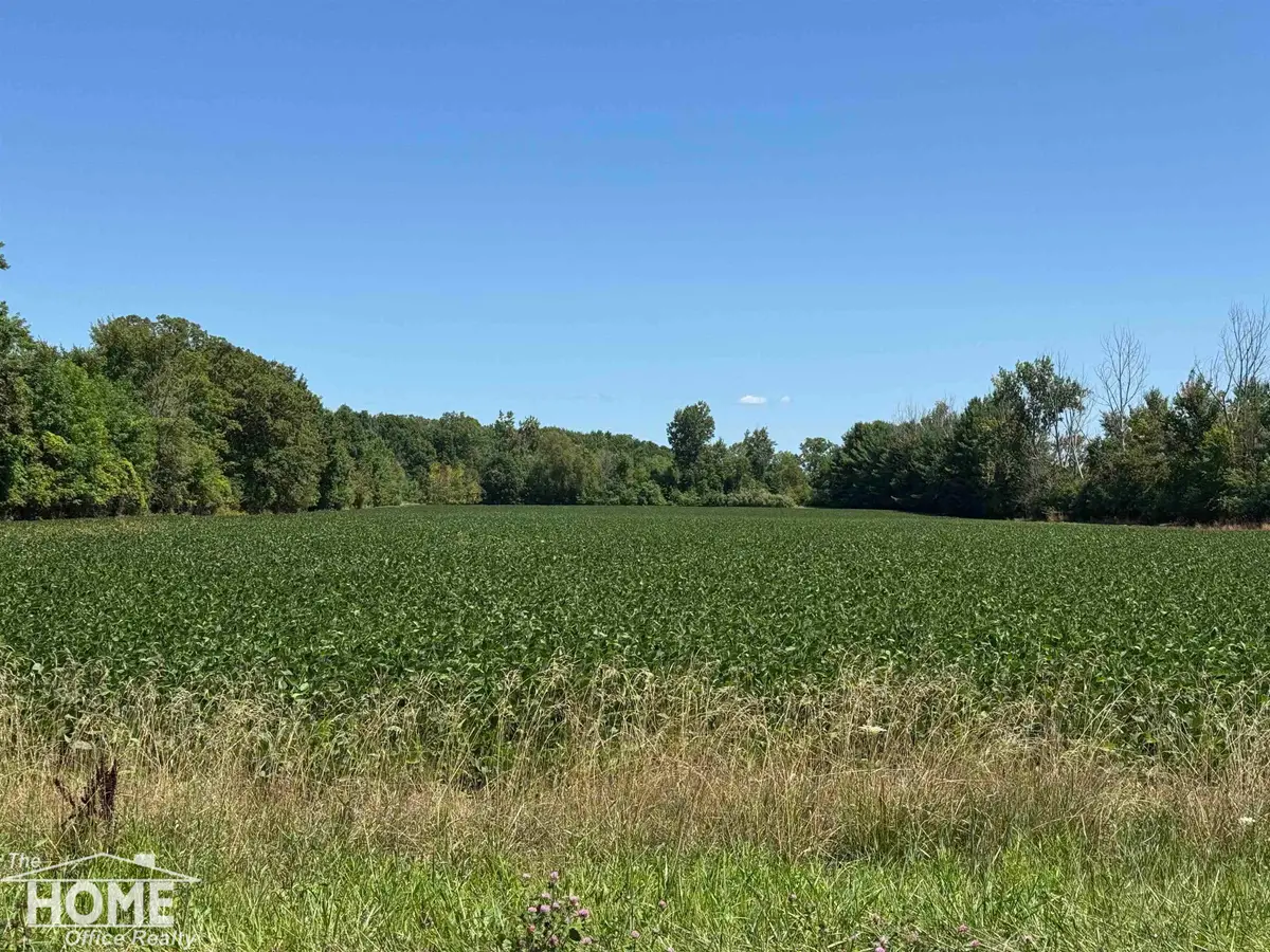 Vacant Webster, Mount Morris, MI 48458 - #1