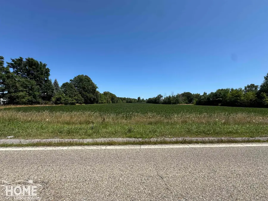 Vacant Webster, Mount Morris, MI 48458 - #2