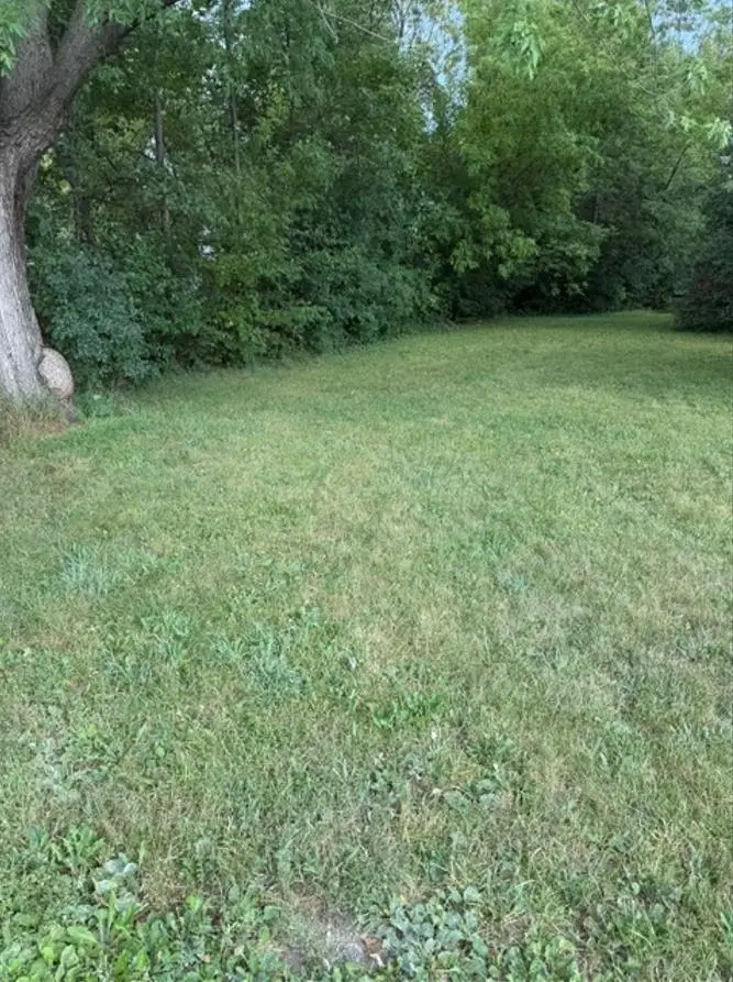 2252 Farmer, Saginaw, MI 48601 - #2