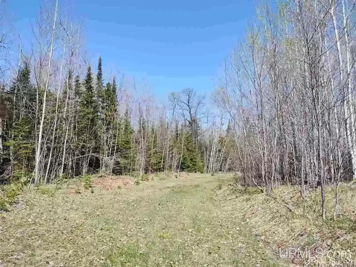TBD Woodspur, Ontonagon, MI 49953 - #1