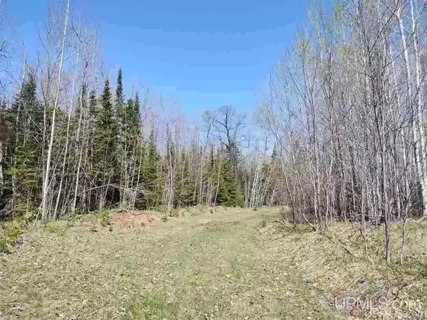 TBD Woodspur, Ontonagon, MI 49953