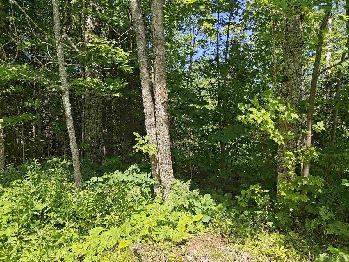 TBD Off Woodspur, Ontonagon, MI 49953 - #1
