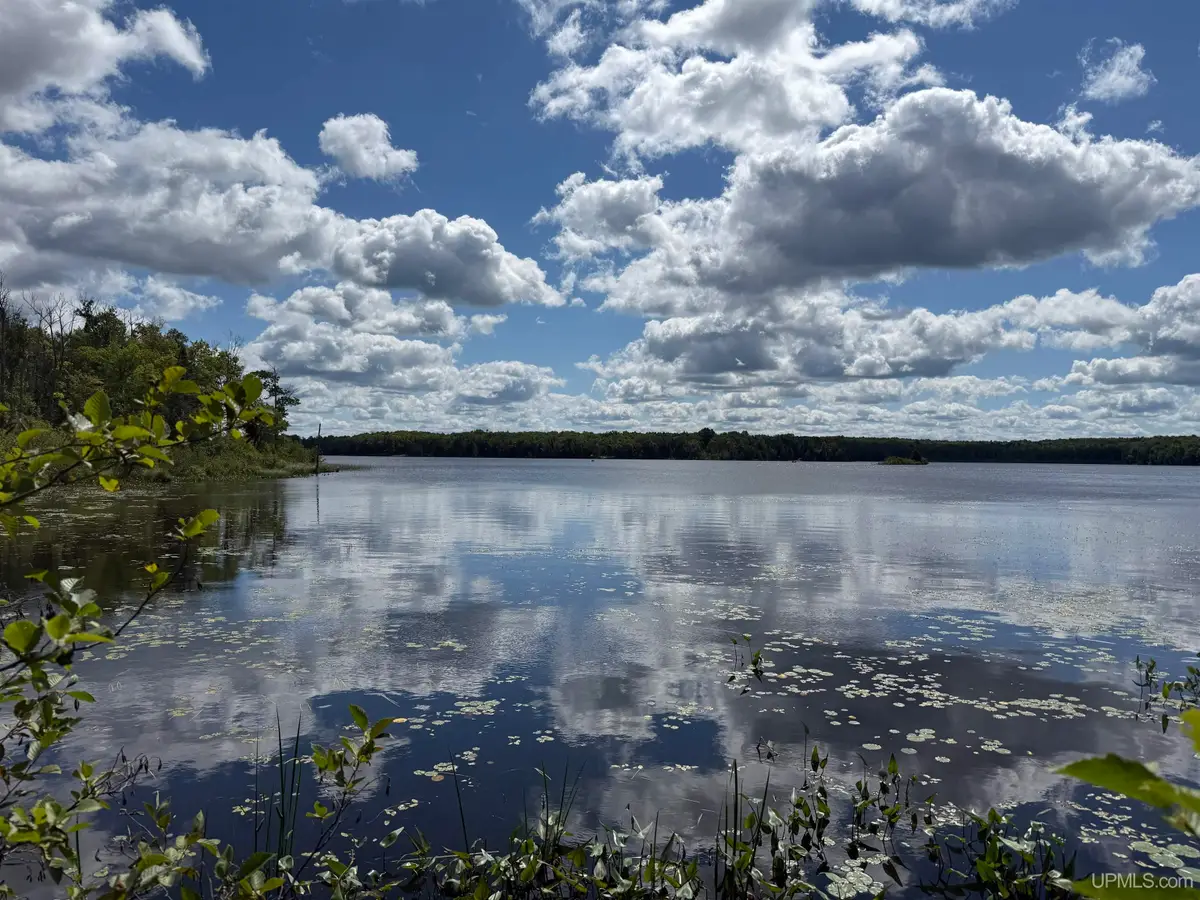 OFF Langford Lake, Watersmeet, MI 49969 - #1