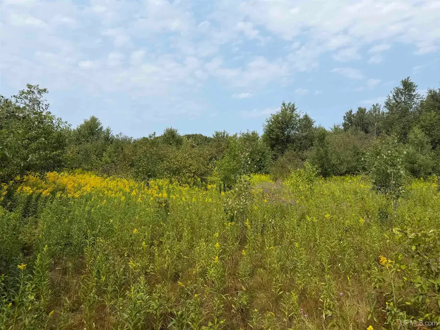 Co 519, Wakefield, MI 49968 - #2