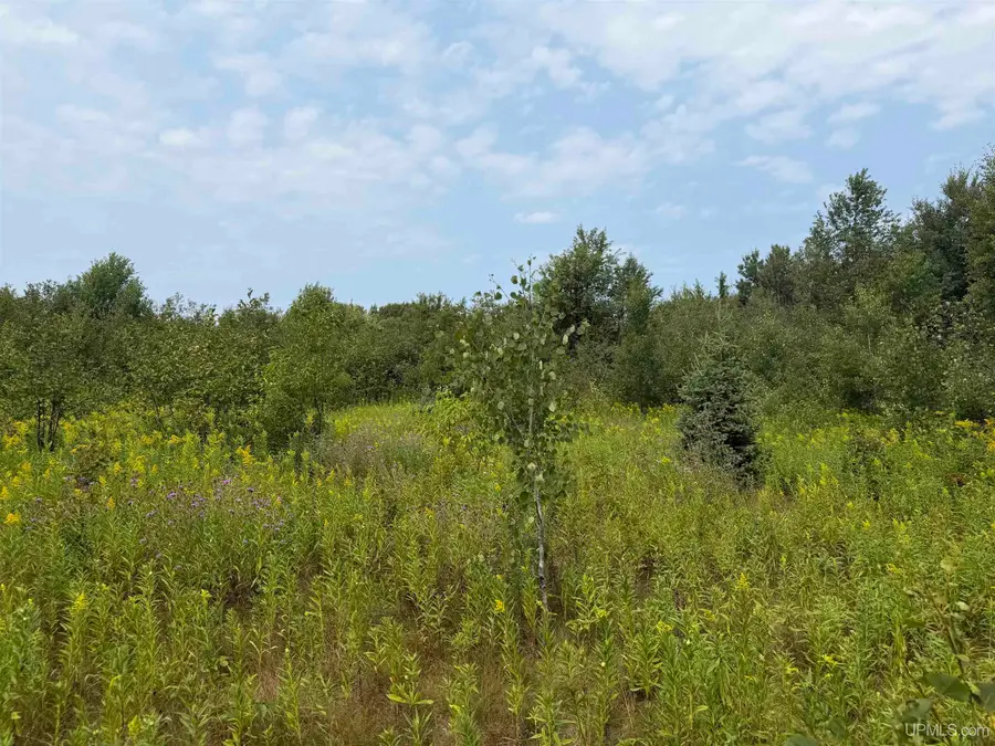Co 519, Wakefield, MI 49968 - #3
