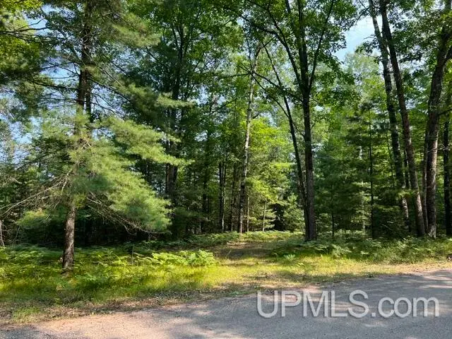 1.24 Acres Steffen, Pembine, WI 54156 - #2