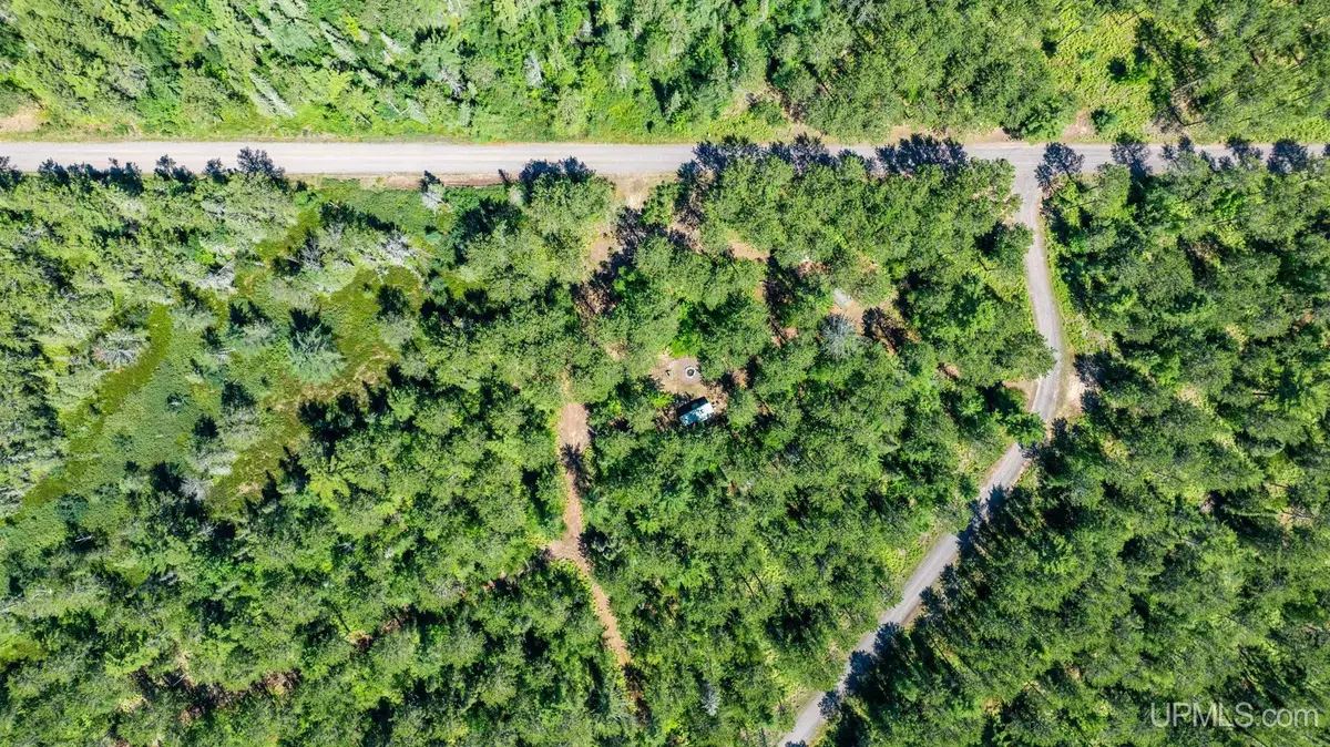 Lot 62 Little Rice Lake, Lake Linden, MI 49945 - #1