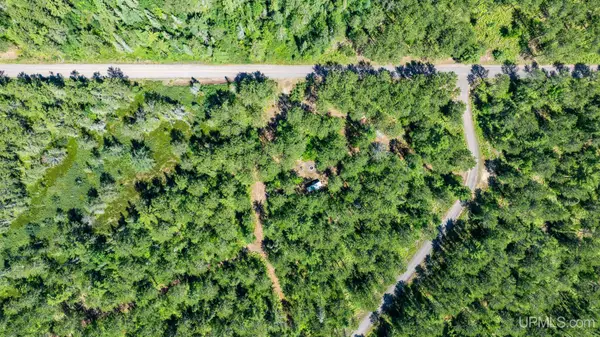 Lot 62 Little Rice Lake, Lake Linden, MI 49945