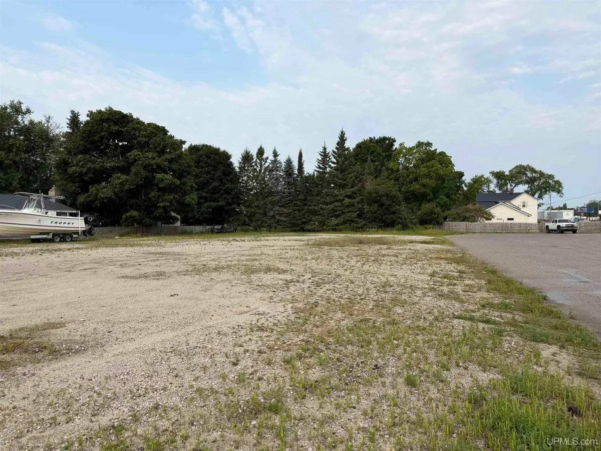 131 S Houghton, Manistique, MI 49854 - #1