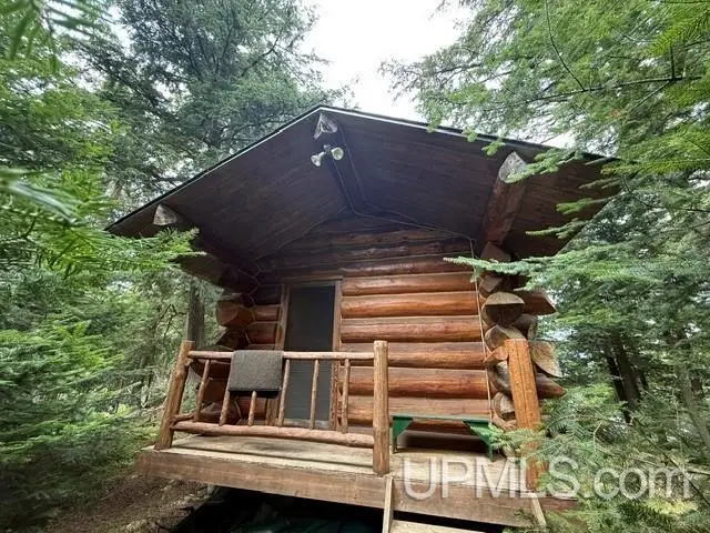 Near Otter Ln Deer, Watersmeet, MI 49969 - #3