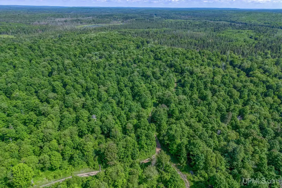 6881E Forest Road Lots 2-3, Marenisco, MI 49947 - #3