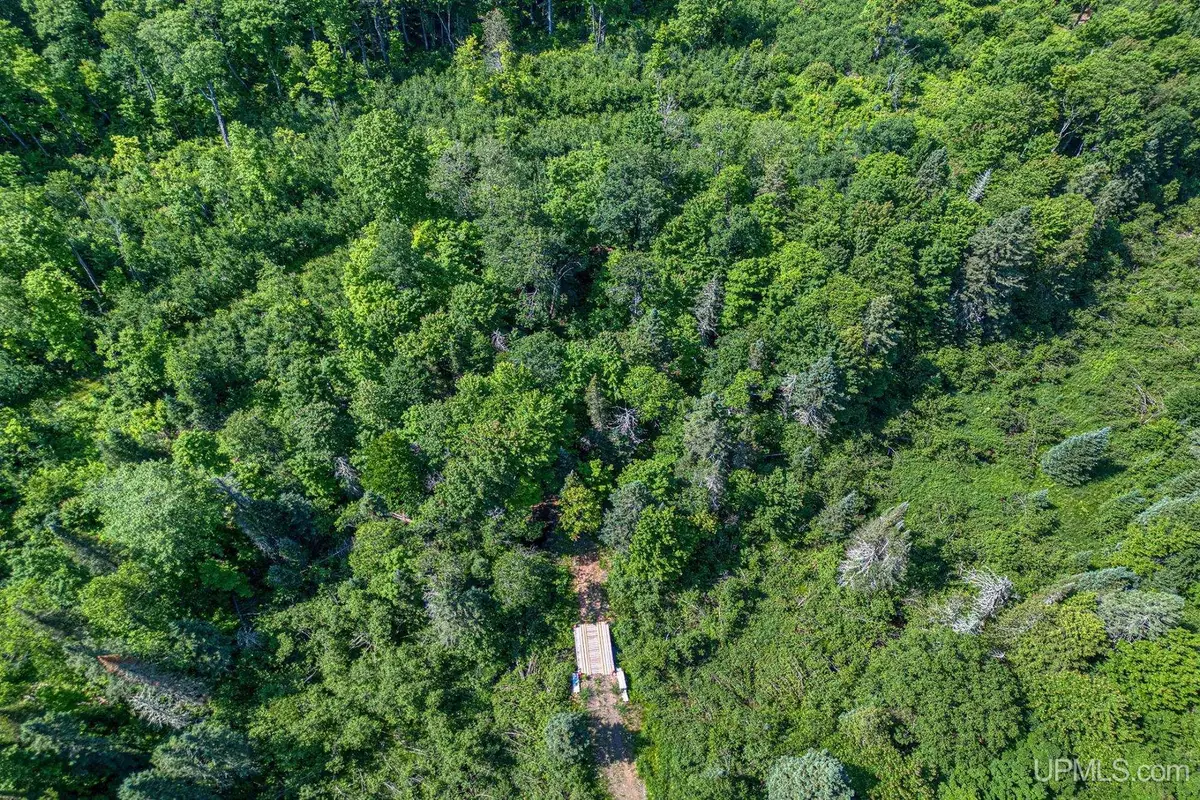 6881E Forest Road-lot 4, Marenisco, MI 49947 - #1