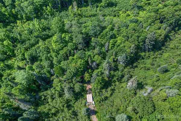 6881E Forest Road-lot 4, Marenisco, MI 49947