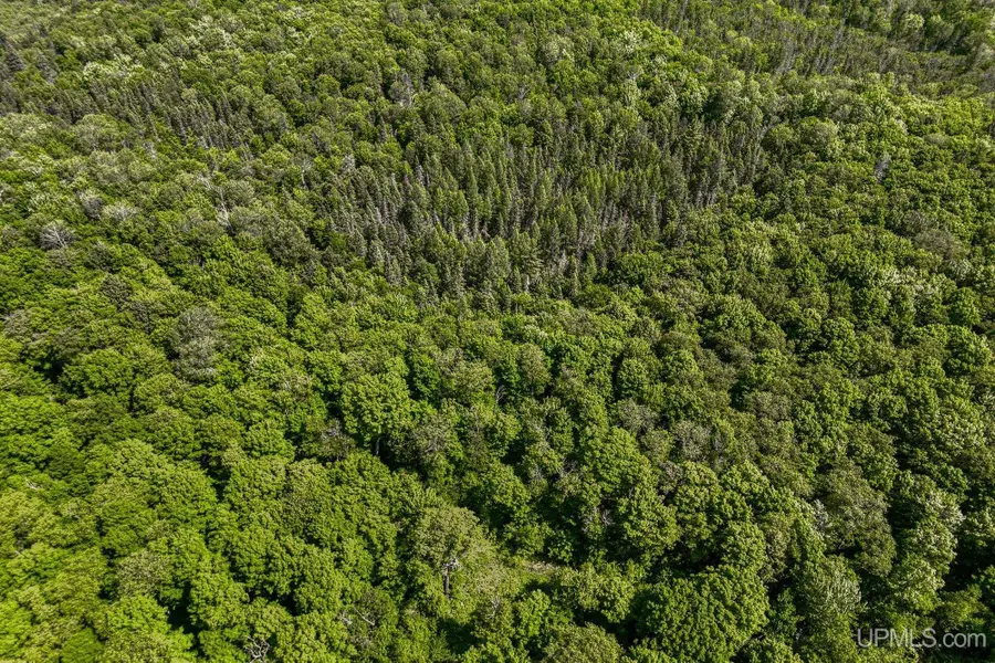 6881E Forest Road-lot 4, Marenisco, MI 49947 - #3