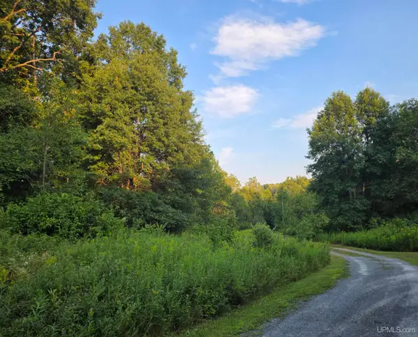 1271 Menominee River, Florence T-WI, WI 54121