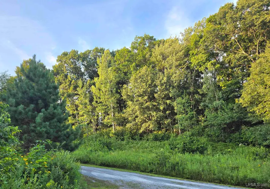 1271 Menominee River, Florence, WI 54121 - #2