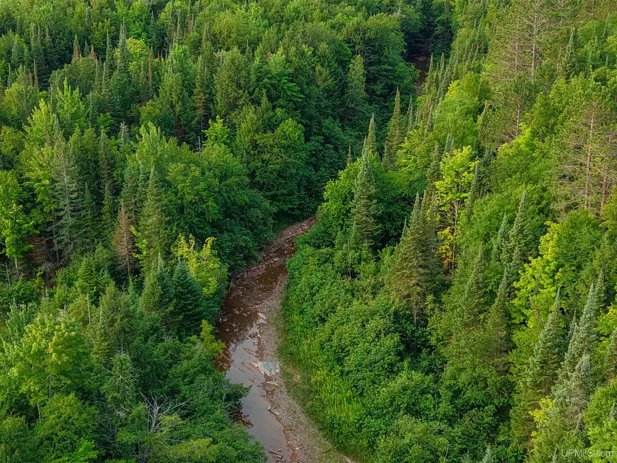 Lot 1 (North) M-64, Ontonagon, MI 49953 - #1